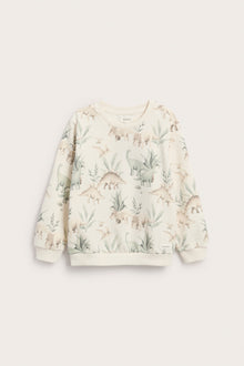 Baby & kids sweatshirt dinosaur print