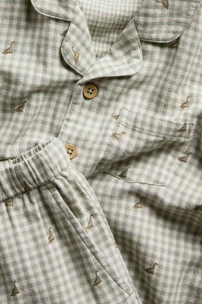 Kids checked pyjama with dinosaurs