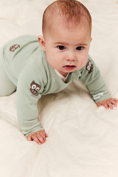Baby green knitted cardigan with owls