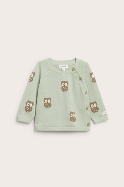 Baby green knitted cardigan with owls