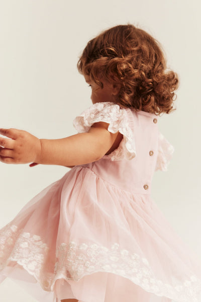 Baby pink embroidered tutu dress