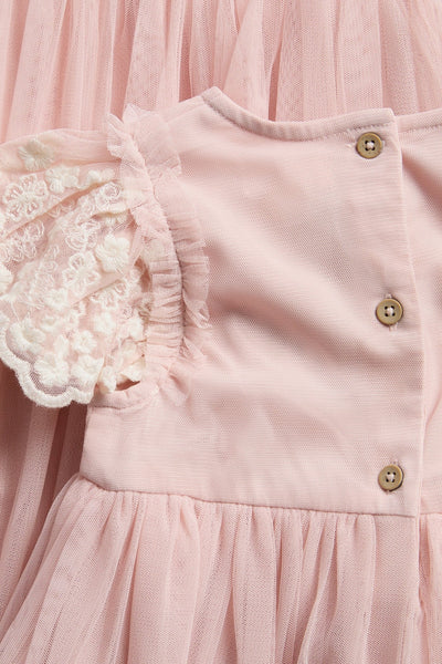 Baby pink embroidered tutu dress