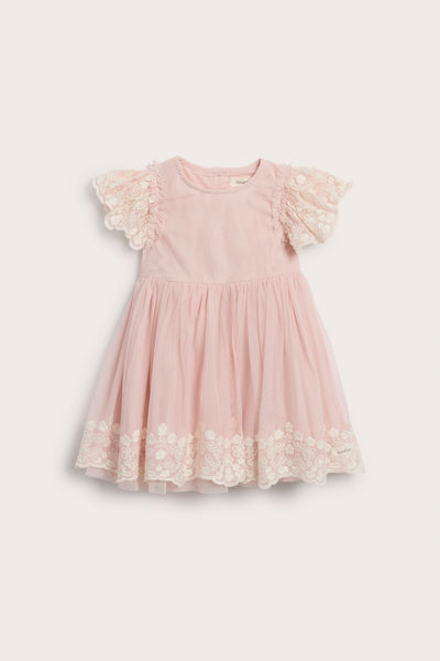 Baby pink embroidered tutu dress