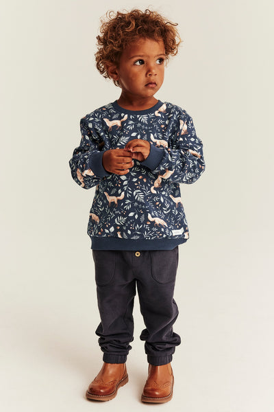 Baby & Kids blue sweatshirt with foxes