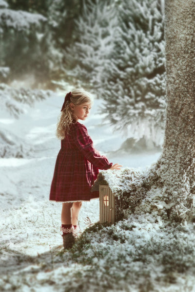 Kids red checked Christmas dress with embroidery
