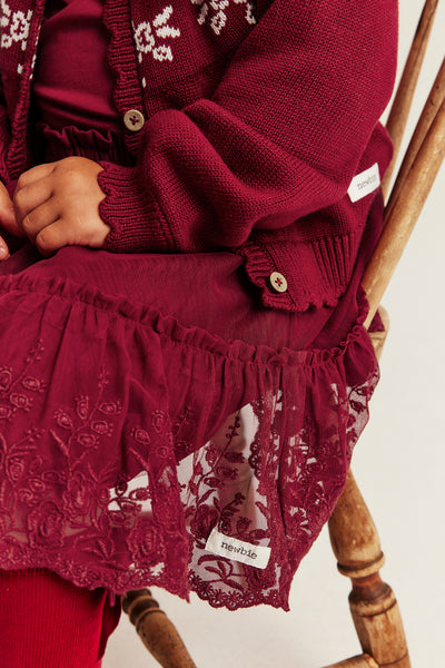 Kids red mesh skirt with embroidery