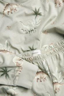 Baby & Kids dinosaur pyjamas