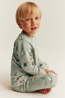 Baby & Kids dinosaur pyjamas