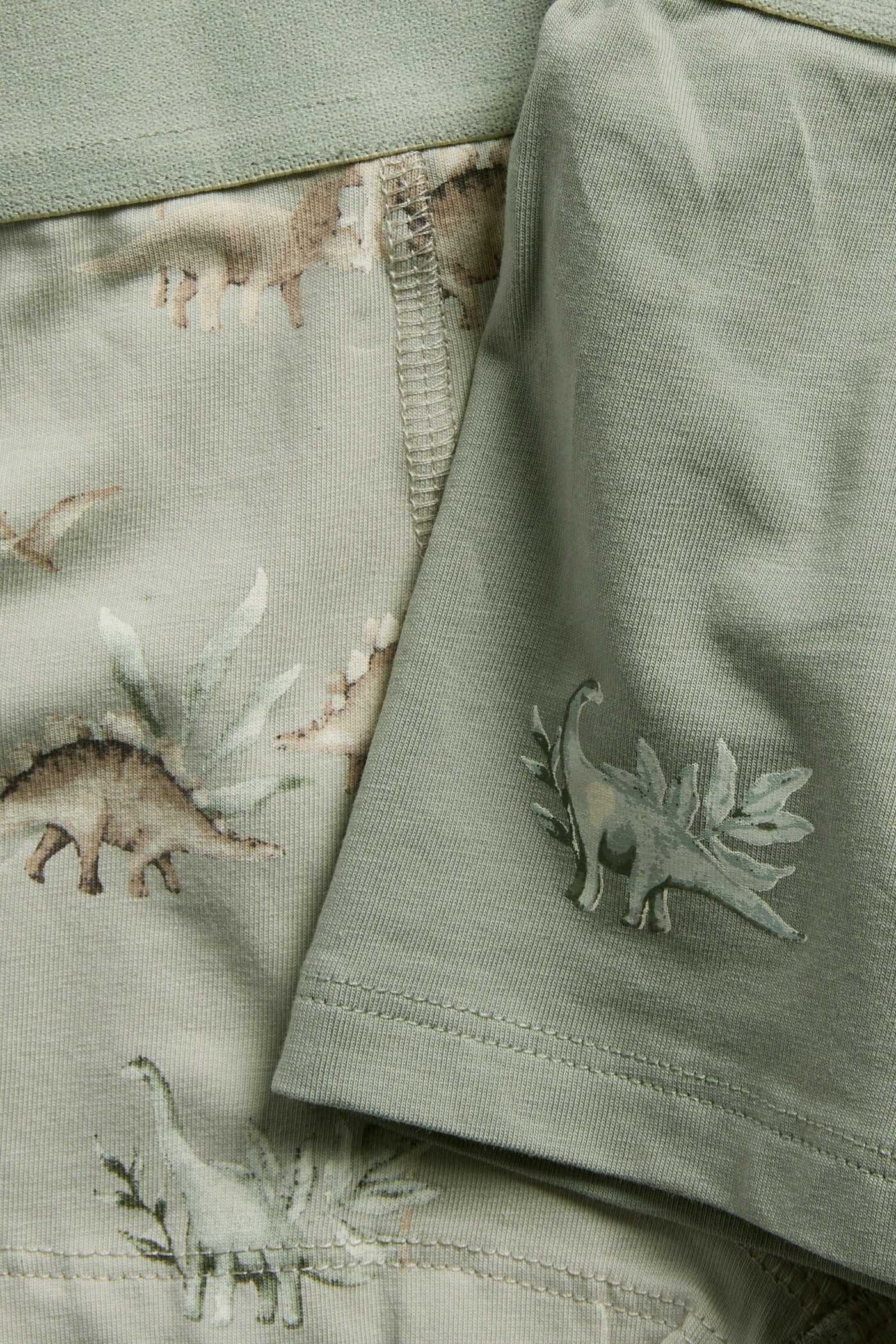 Baby & Kids dinosaur underwear (2-pack)
