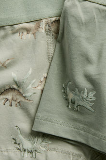 Baby & Kids dinosaur underwear (2-pack)