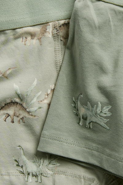 Baby & Kids dinosaur underwear (2-pack)