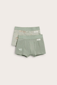 Baby & Kids dinosaur underwear (2-pack)