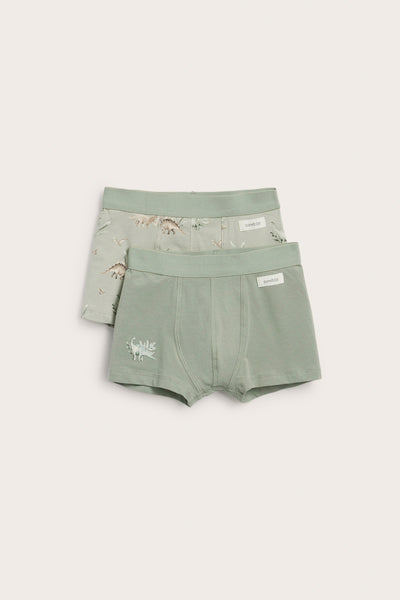 Baby & Kids dinosaur underwear (2-pack)