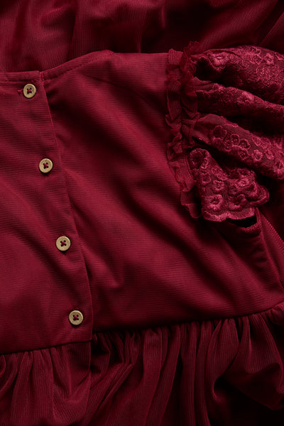 Kids red mesh dress with embroidery