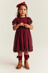 Kids red mesh dress with embroidery