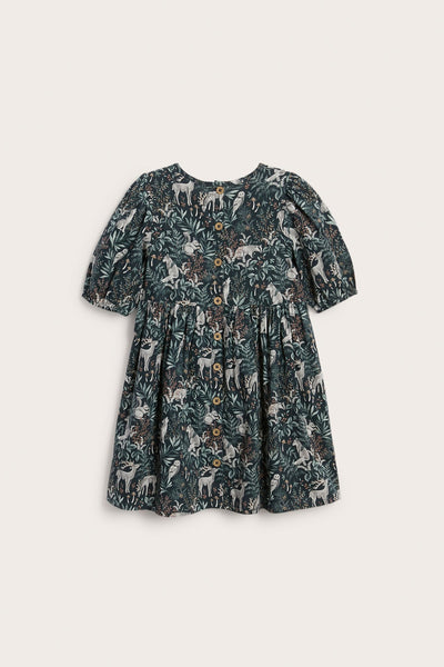 Kids dress with puff sleeves