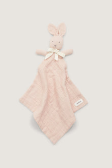 Baby pink bunny blanket