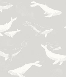 Whales grey wallpaper