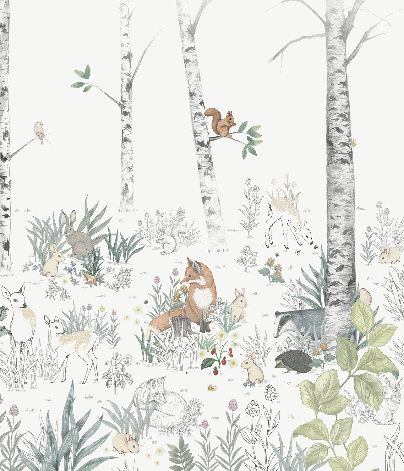 Magic Forest Mural coral wallpaper