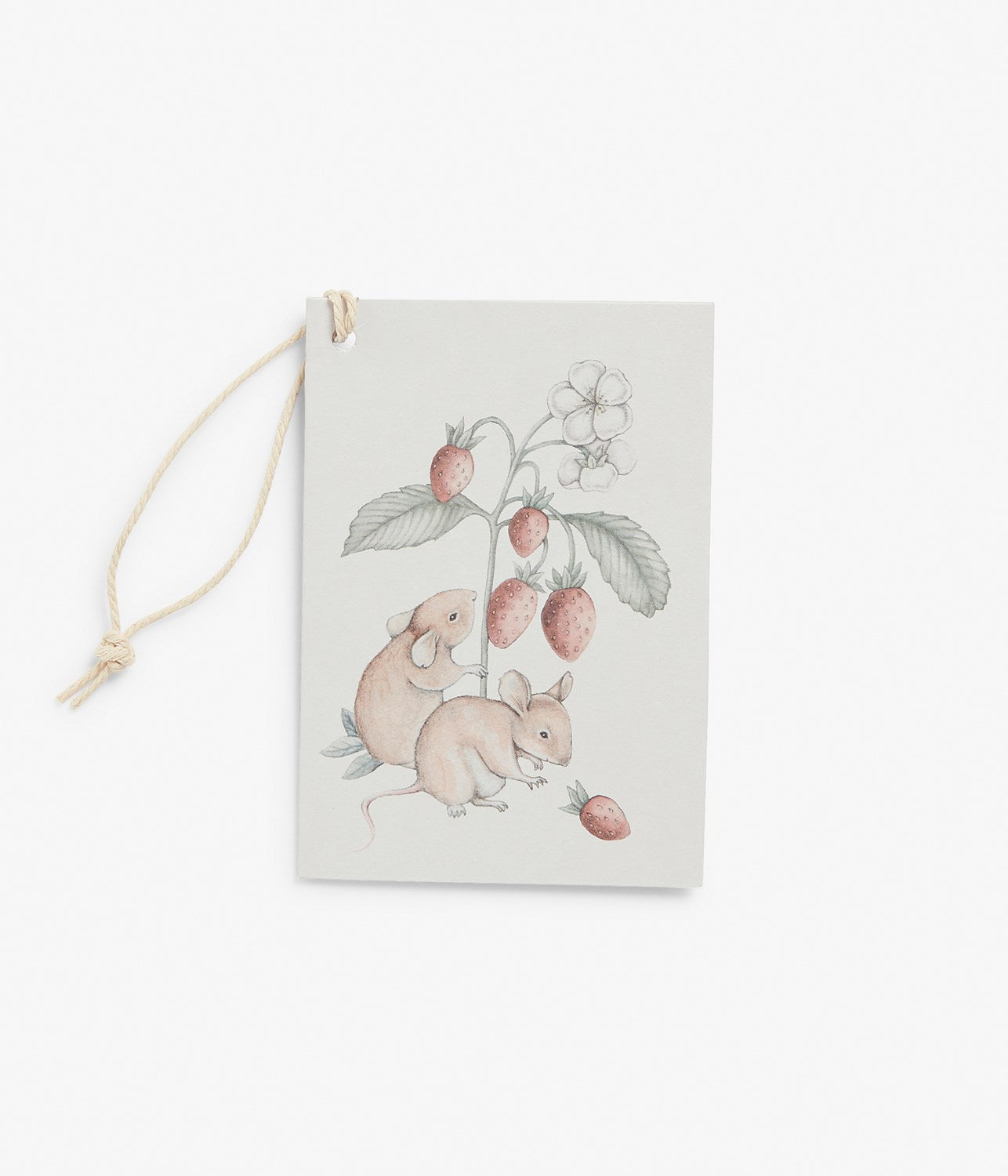 Gift card mice & strawberries